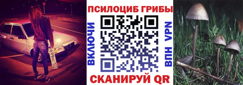 как найти закладки  Саров  Псилоцибиновые грибы MAGIC MUSHROOMS 